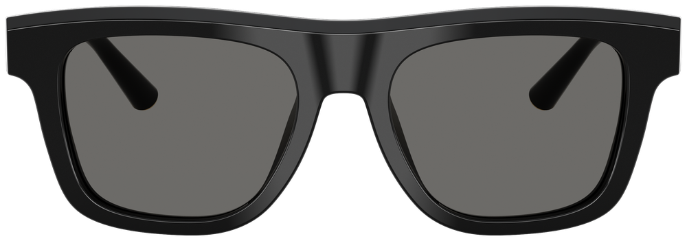 Dolce & Gabbana DG 4521 501/1
