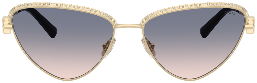Tiffany & Co TF 3107KB 622116