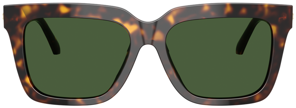 Versace VE 4498 108/71