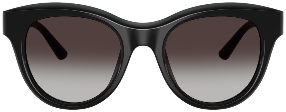 Dolce & Gabbana DG 4518 501/8G