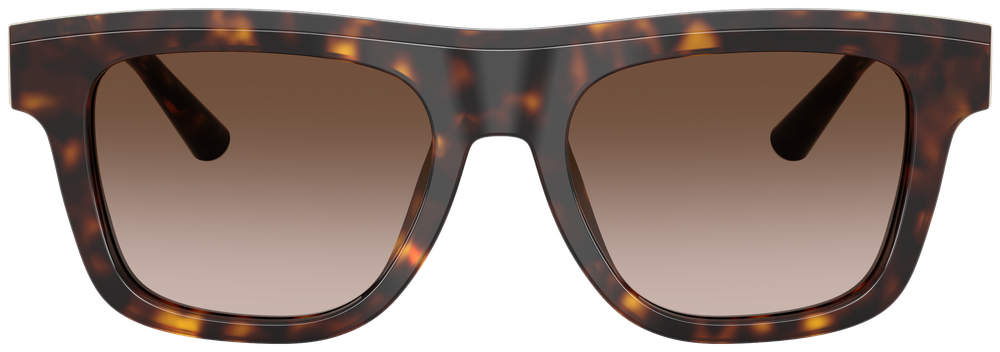 Dolce & Gabbana DG 4521 502/13