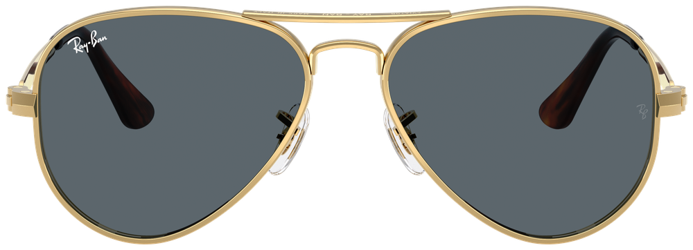 Ray-Ban RB 3925 001/R5