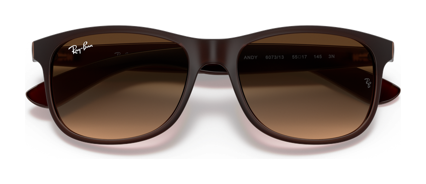 Ray-Ban RB 4202 607313