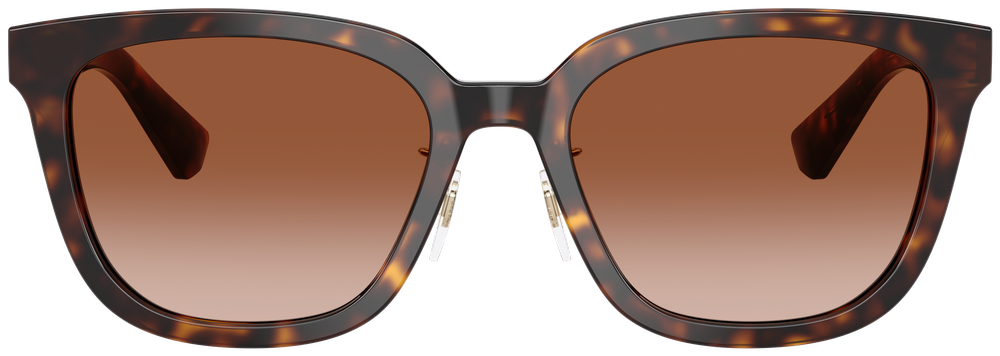 Burberry BE 4446D 300213