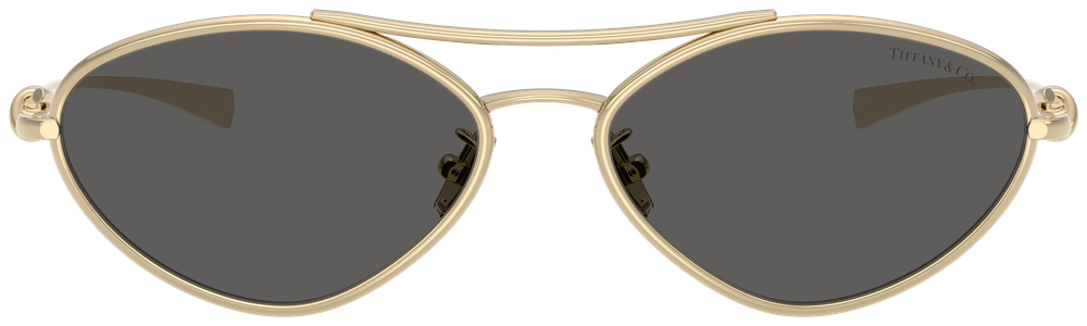 Tiffany & Co TF 3117 6021S4