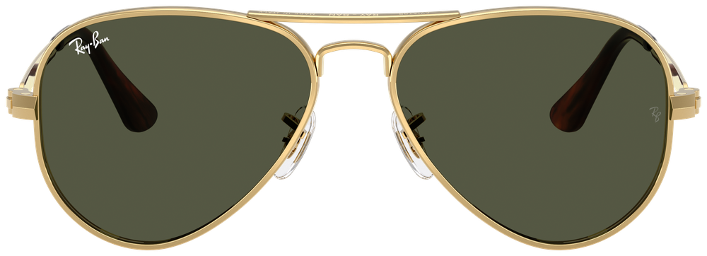 Ray-Ban RB 3925 001/31