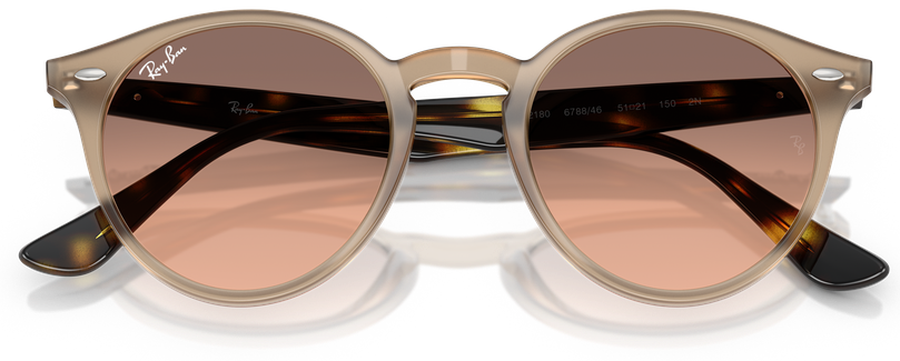 Ray-Ban RB 2180 678846