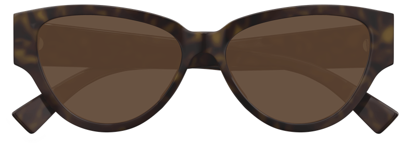 Bottega Veneta BV1319S 002