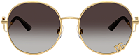 Dolce & Gabbana DG 2324 02/8G