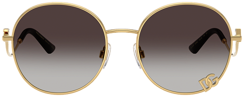 Dolce & Gabbana DG 2324 02/8G