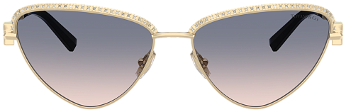 Tiffany & Co TF 3107KB 622116