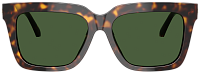 Versace VE 4498 108/71