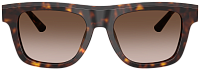 Dolce & Gabbana DG 4521 502/13