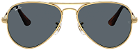 Ray-Ban RB 3925 001/R5