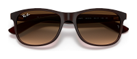 Ray-Ban RB 4202 607313