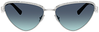 Tiffany & Co TF 3107KB 62139S