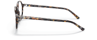 Ray-Ban RX 5395 8173