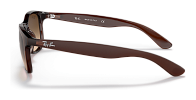 Ray-Ban RB 4202 607313