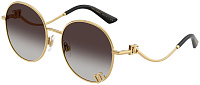 Dolce & Gabbana DG 2324 02/8G