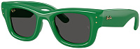 Ray-Ban RB 4940 683487