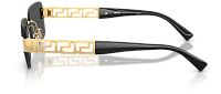 Versace VE 2298 100287